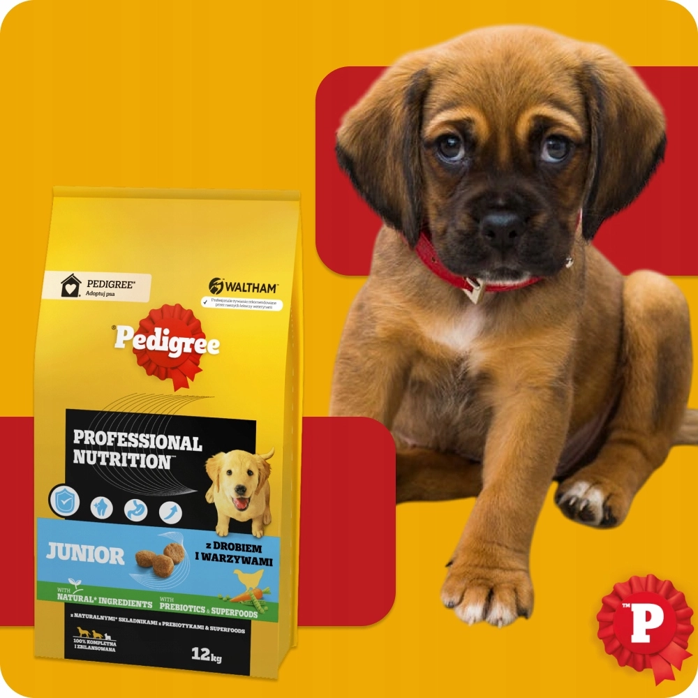 PEDIGREE Junior dry food for puppies